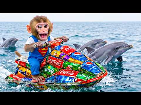 Monyet Mono Berhasil Membuat Jet Ski dari Barang Bekas dan Menyelamatkan Anak Monyet dari Tsunami