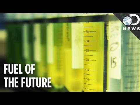 We Can Power The World With Algae!
