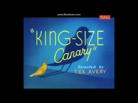King-Size Canary'