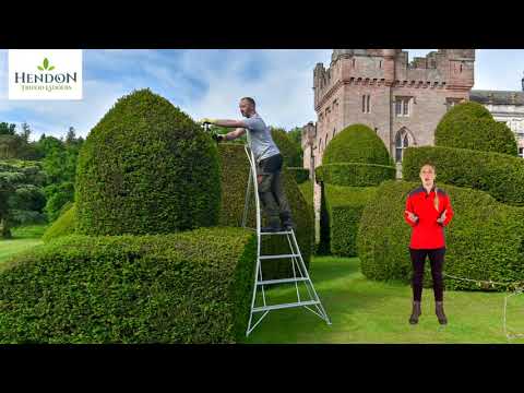 HENDON LADDERS Tripod