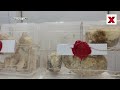SOG Seizes 10 Kg Ambergris Worth ₹10 Crore, Four Accused Arrested in Gujarat | NewsX  - 03:34 min - News - Video