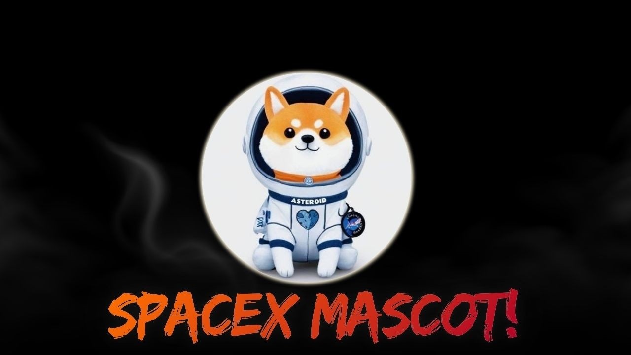 SPACEX MASCOT IS PUMPING HARD! DO NOT MISS!