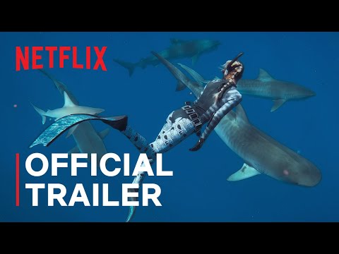 Shark Whisperer'