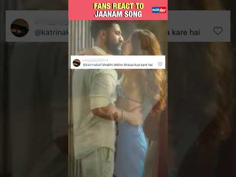 Jaanam Song VickyTriptiis hotness has fans asking How is Katrina okay with this  Bad Newz