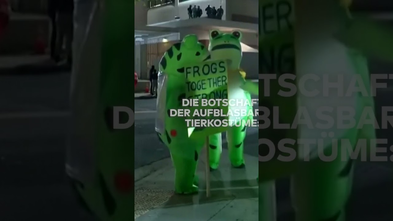 PORTLAND-FRÖSCHE: Sie trotzen Trump mit Humor, doch der spricht von "Anarchie" shorts