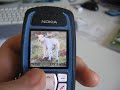 nokia 3100