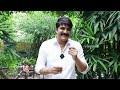 Divorce And Rave Party Are All Rumors, Says Hero Srikanth | V6 News  - 04:03 min - News - Video