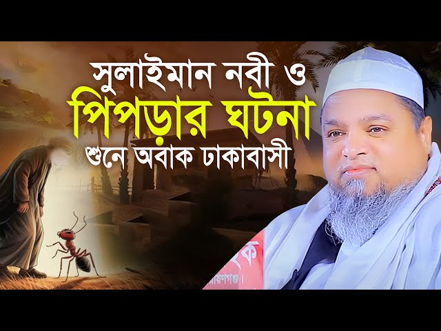 নবী সুলাইমান ও পিপড়ার ঘটনা খালেদ সাইফুল্লাহ আইয়ুবী Khaled Saifullah Ayubi Waz Mahfil