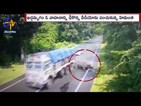Rhino gets hit by a truck; Assam CM Himantha Bishwa Sharma tweeted the video
