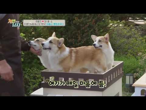 황재근X주병진, 으리으리 대중소 펜트하우스 만들기! 금수저犬 끝판왕!