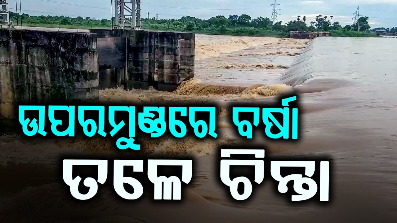 Odisha Flood Alert: Baitarani River To Cross Danger Mark | Jajpur & Bhadrak At Risk | Argus News