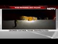Tiger Tranquilised By Forest Officers After It Roams Into UP Village - 01:29 min - News - Video