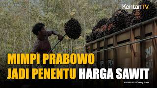 Indonesia Sulit Jadi Penentu Tunggal Harga Sawit Dunia, Ini Penjelasan GAPKI