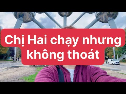 Sister Hai ran away but could not escape #hoangkimdung #tintuc