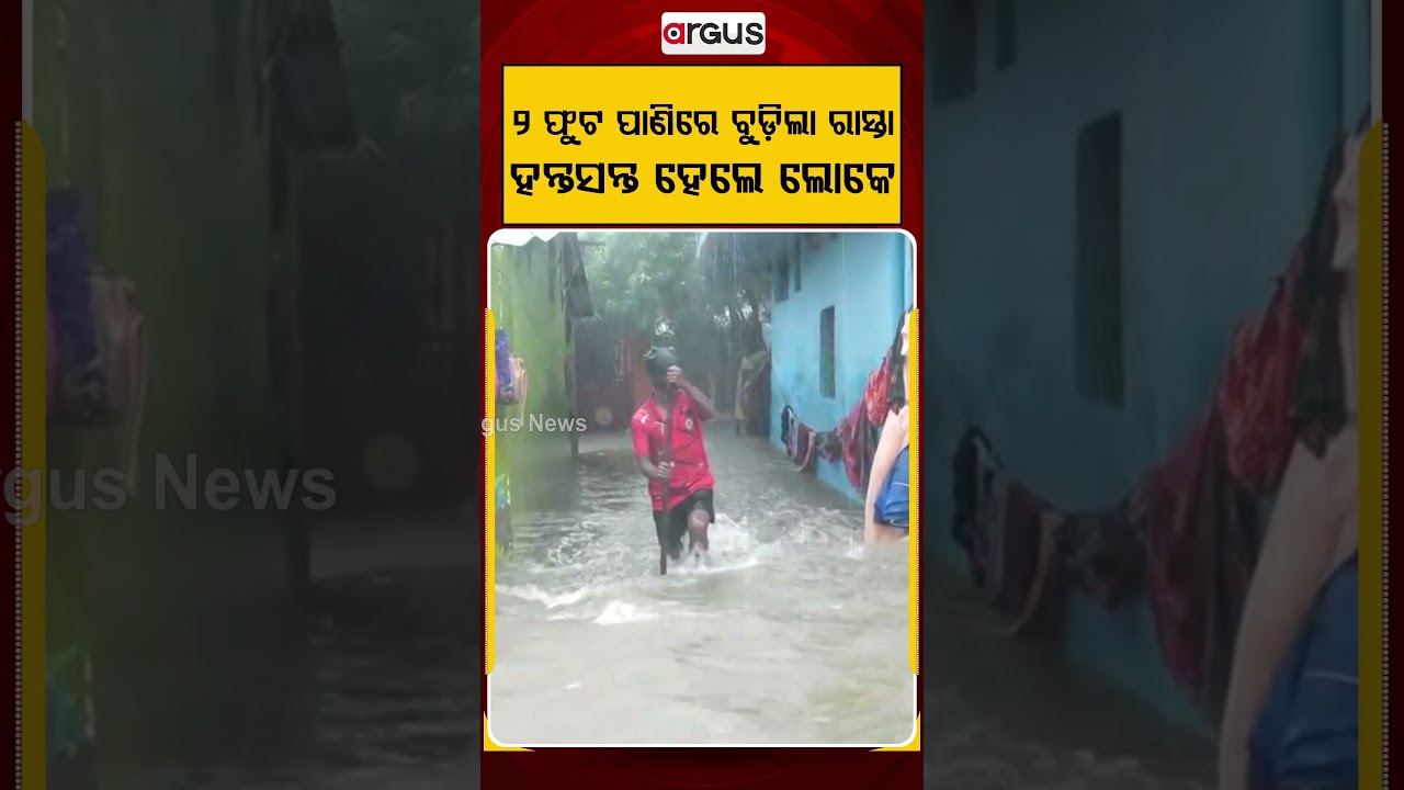 ୨ ଫୁଟ ପାଣିରେ ବୁଡିଲା ରାସ୍ତା ହନ୍ତସନ୍ତ ହେଲେ ଲୋକେ |Argus Reels | Waterlogging | CivicIssues | ArgusNews