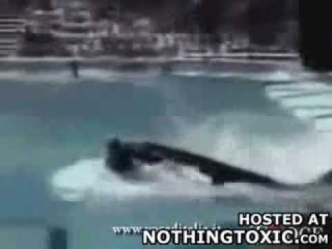 Nothingtoxic Nothingtoxic