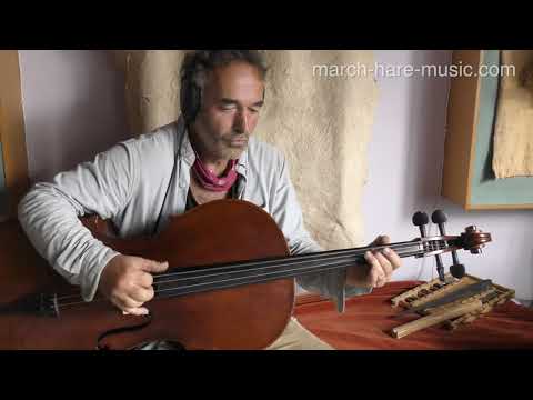 Baka Beyond - Martin playing cello during lockdown 