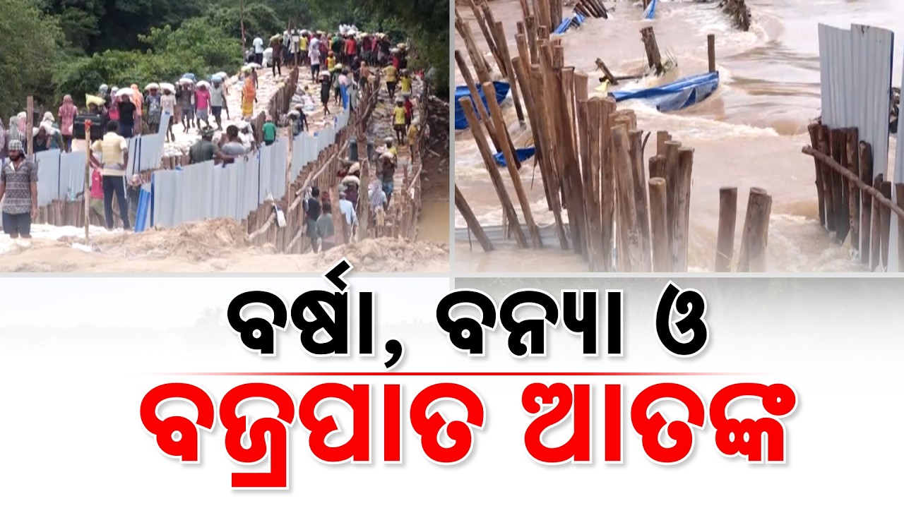 ବର୍ଷା, ବନ୍ୟା ଓ ବଜ୍ରପାତ ଆତଙ୍କ... | Odisha Flood Update | Baitarani Overflows | Odisha | Argus News