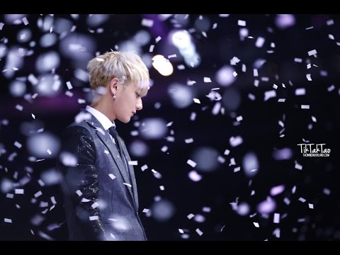 ZTAO-Adore (Lyrics)