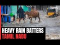 Tamil Nadu Rain | Heavy Rain Batters Tamil Nadu, Schools Shut, Several Trains Cancelled