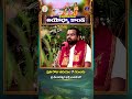శ్రీమద్రామాయణం అయోధ్యాకాండ || ప్రతిరోజు ఉదయం 7 గంటలకు  - 00:50 min - News - Video
