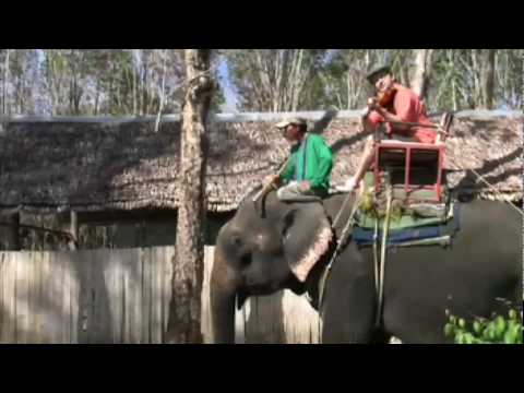 Igudesman rides Sherlock Holmes on an Elephant