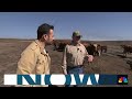 Texas rancher reeling over wildfire impact on cattle industry  - 01:15 min - News - Video