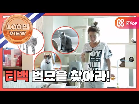 씨스타의 쇼타임 - 6회 '효린'과 삼냥이의 아침 일상 공개!