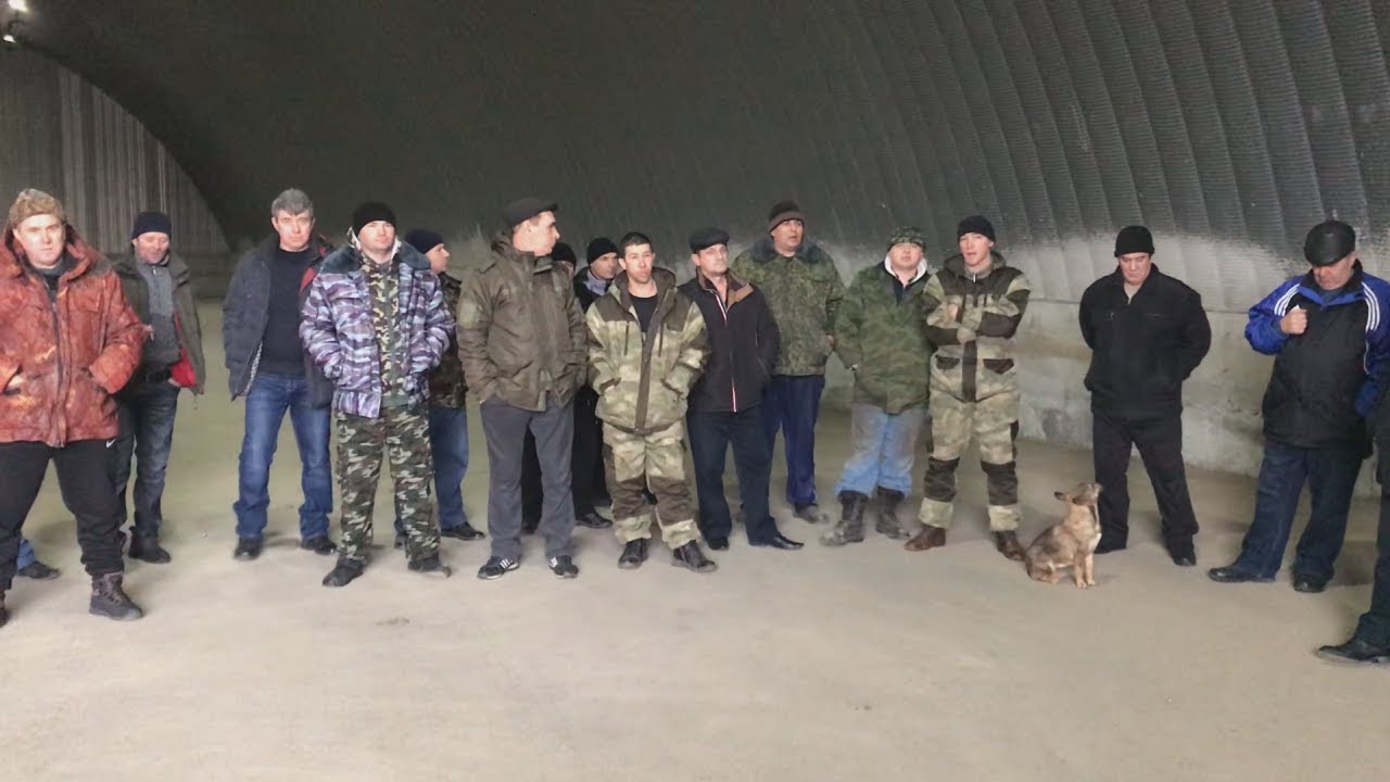 Ростовские перевозчики зерна бастуют из-за тарифов и “Платона”