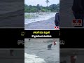 వాగులో వరద ఉధృతికి కొట్టుకుపోయిన యువకుడు |  Man Washed Away In Yadadri | hmtv  - 01:26 min - News - Video