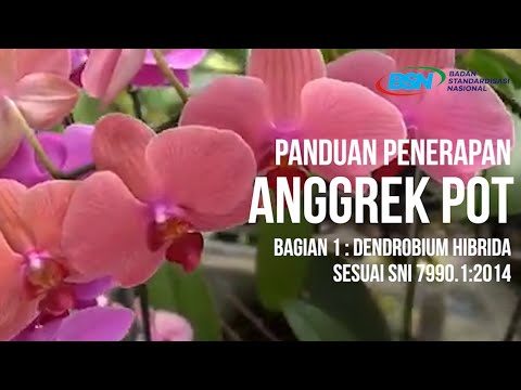 https://youtu.be/FB83YEpPFqQPanduan Penerapan SNI Anggrek Pot - Bagian 1: Dendrobium Hibrida sesuai SNI 7990.1:2014