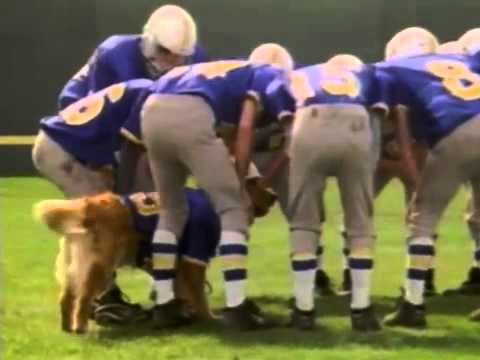 Air Bud: Golden Receiver'