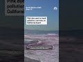 Pink dye tracks pollution at California beach  - 00:27 min - News - Video
