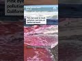 Pink dye tracks pollution at California beach