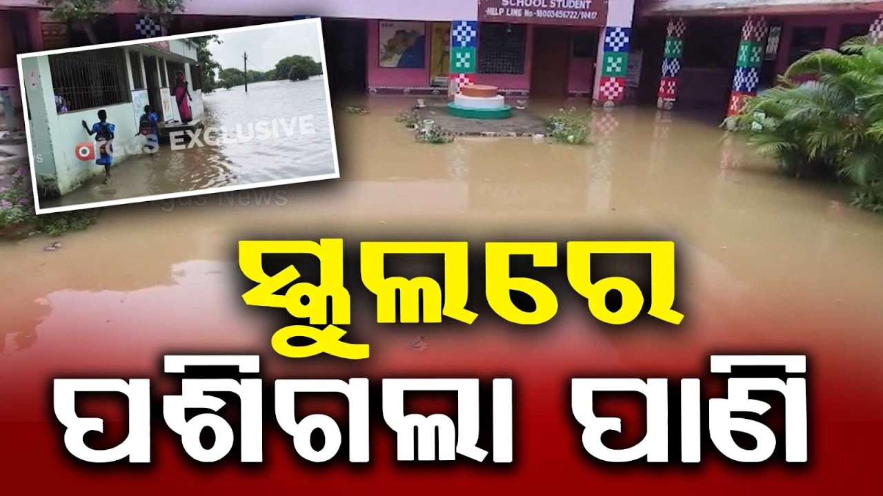 Odisha Flood: Daya River Water Enters School in Kanas, Classrooms Submerged | Argus News