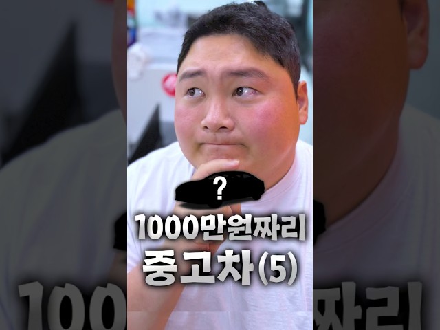 1000만원짜리 감가폭탄 소나타DN8