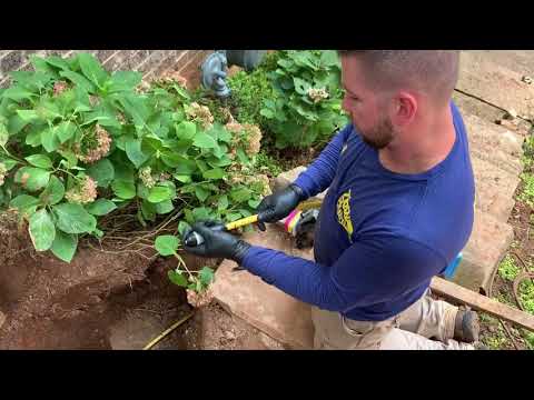 Gas Main Repair
