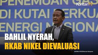 Pemerintah & Pengusaha Sepakat Evaluasi RKAB Nikel Mesti Jaga Keseimbangan Industri