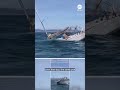 Orcas attack and sink  another boat off the coast of Portugal  - 01:24 min - News - Video