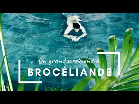 Video realizado por la propiedad