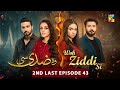 Woh Ziddi Si - 2nd Last Episode 43 - 12th Jan 2025 [ Aina Asif & Shazeal Shaukat ]  - HUM TV