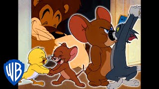 Tom a Jerry - Jerryho superteam