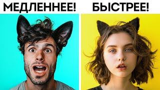 Удивительные способы, с помощью которых животные слышат наш мир