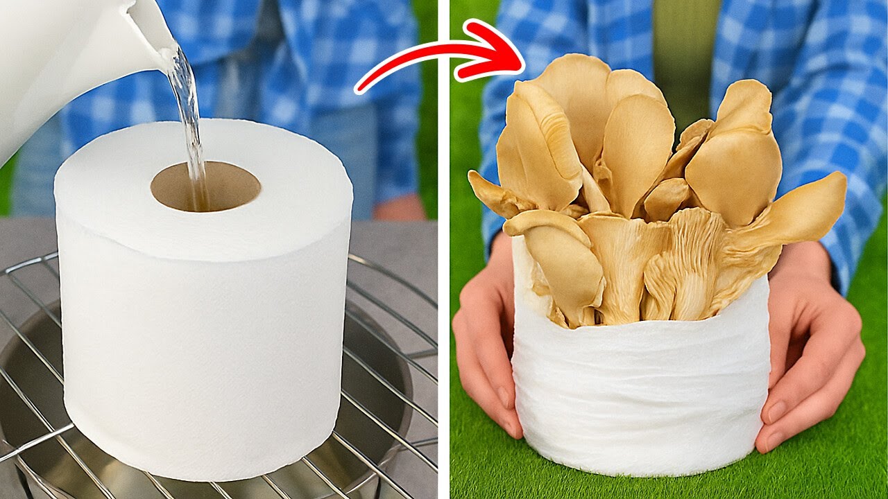 Smart Plant Growing Hacks 🌱💧 Tips Every Inner Gardener Will Love!