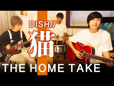 【THE FIRST TAKE風】猫 - DISH//【歌ってみた】(作詞作曲あいみょん 歌詞付)