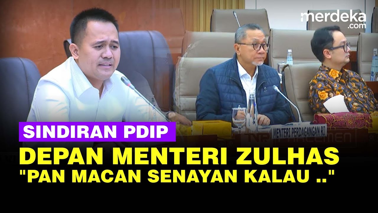 Sindiran Politisi PDIP ke Mendag Zulhas PAN Jadi Macan Senayan Kalau Tidak Ada Bapak