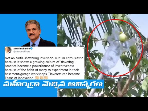 Anand Mahindra shares video of jugaad tool to pluck fruits