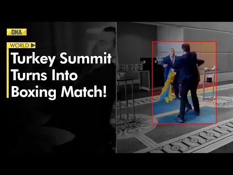 Ukrainian MP punches Russian delegate at Turkey summit