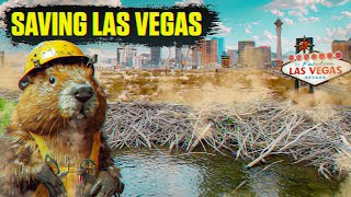 How Beavers Are Saving Las Vegas from Droughts | Full Documentary