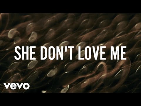 ZAYN - SHE DON'T LOVE ME (Lyric Video)